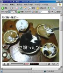 ネコナベ_01.jpg