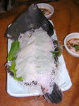 初芳鮨_20070324_10.jpg